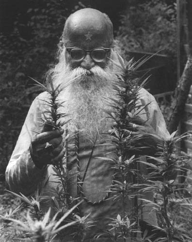cannabis-marijuana.com : picture of Hindu ascetic admiring his sacraments